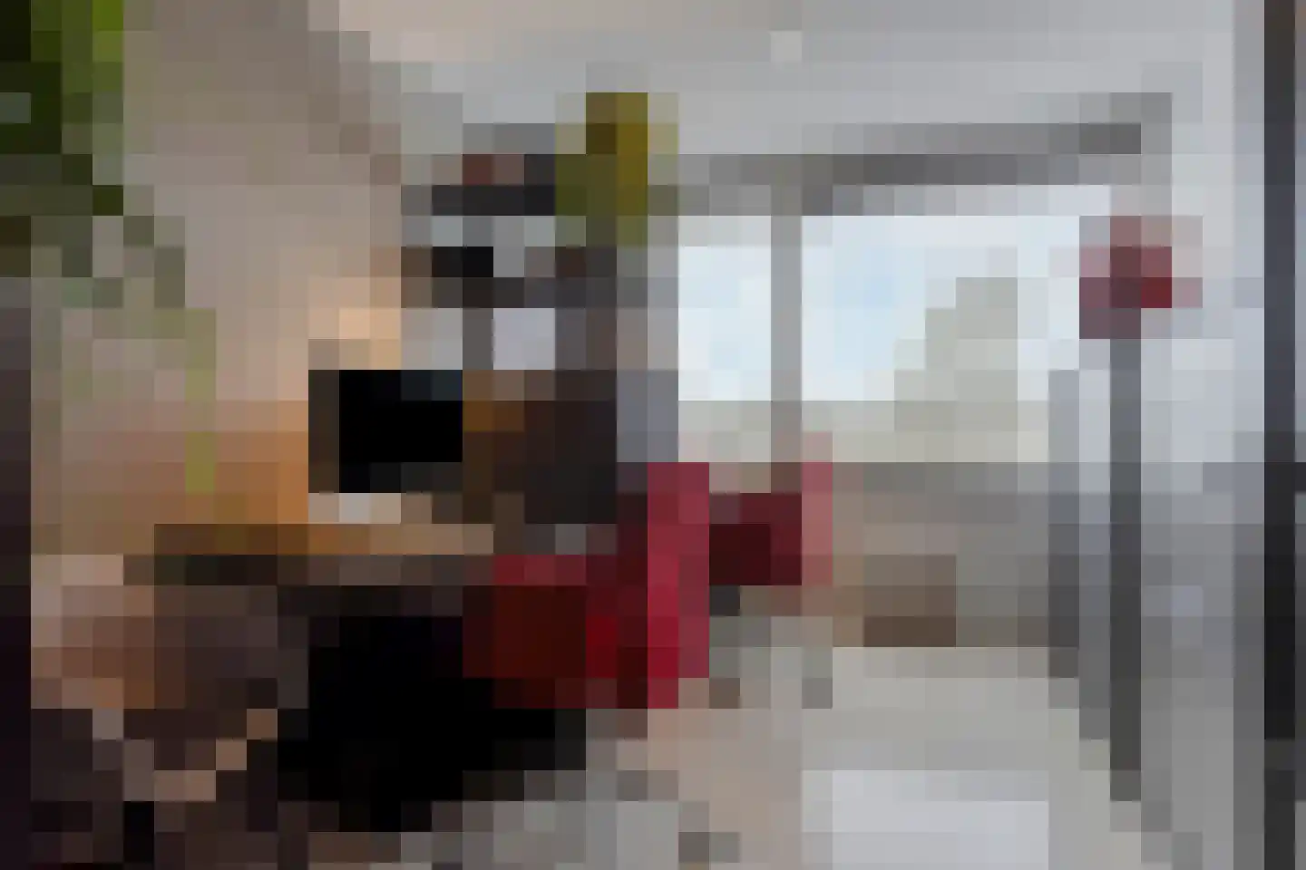 De Groote Rede 64 Rosmalen thumbnail 37