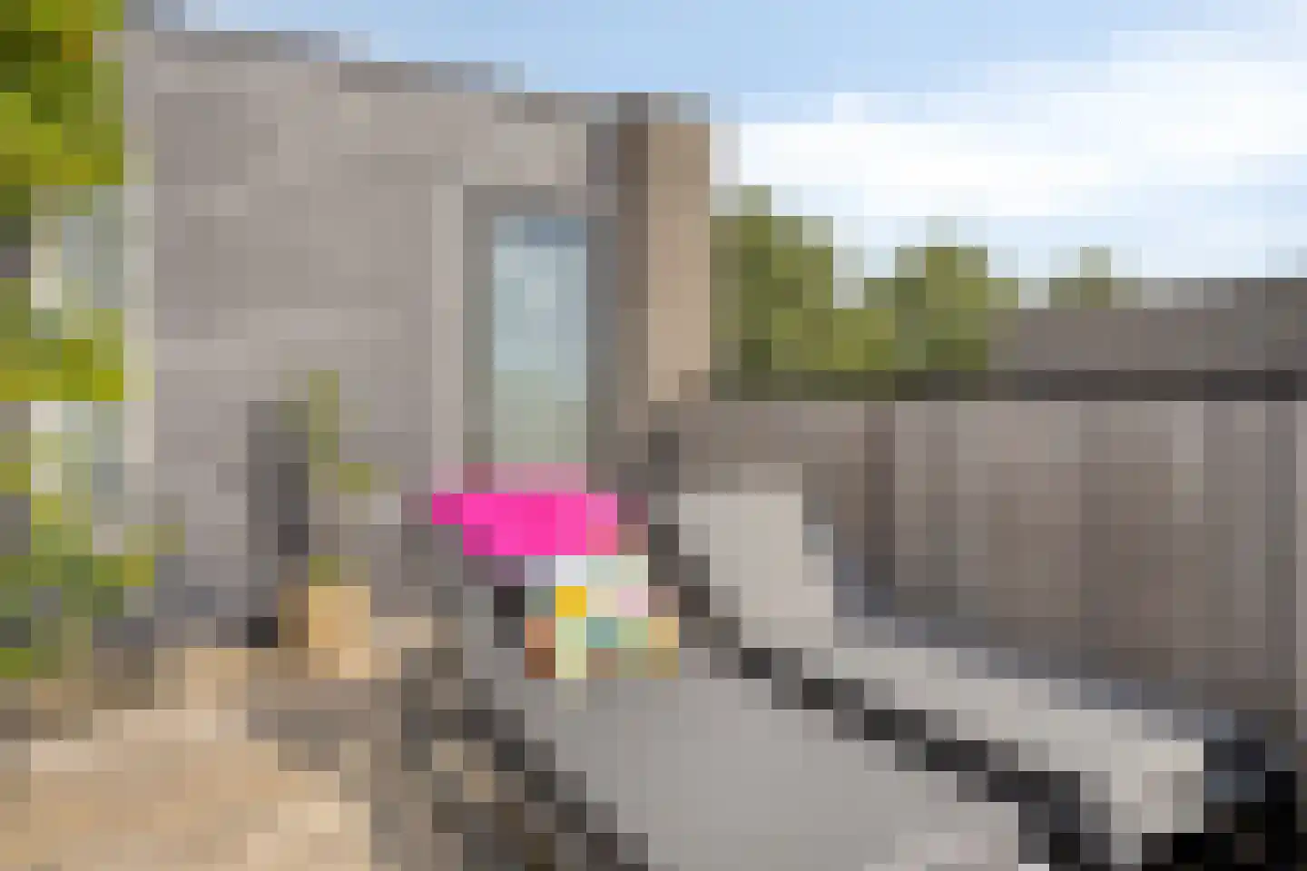 De Groote Rede 64 Rosmalen thumbnail 49