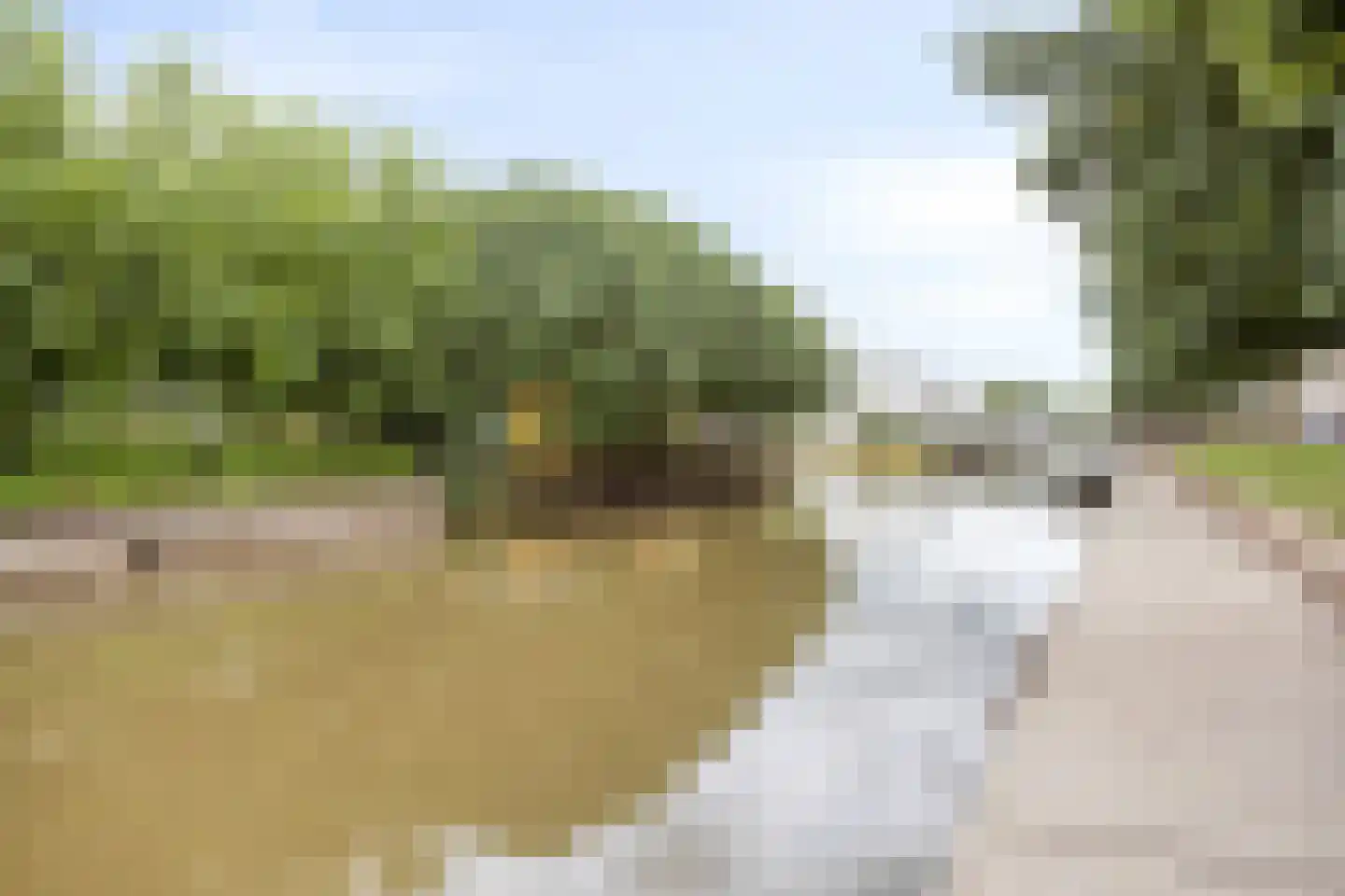 De Groote Rede 64 Rosmalen thumbnail 57