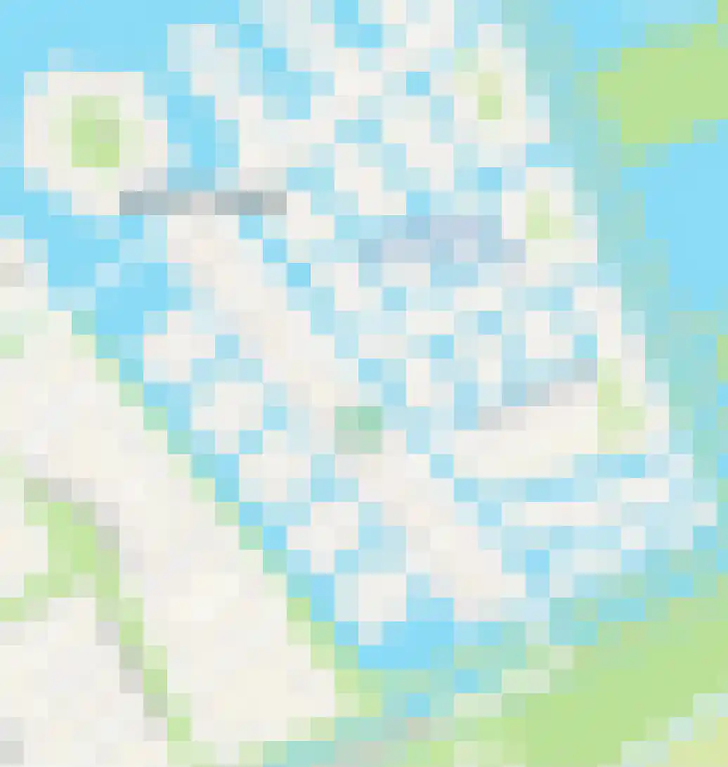 De Groote Rede 64 Rosmalen thumbnail 60