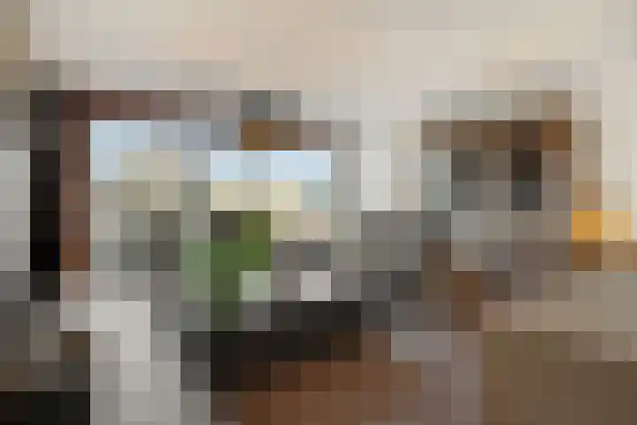 De Groote Rede 78 Rosmalen thumbnail 12