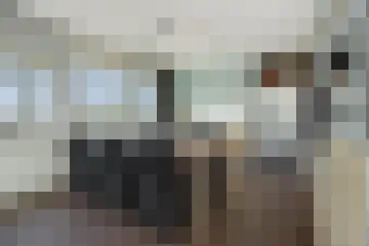 De Groote Rede 78 Rosmalen thumbnail 21