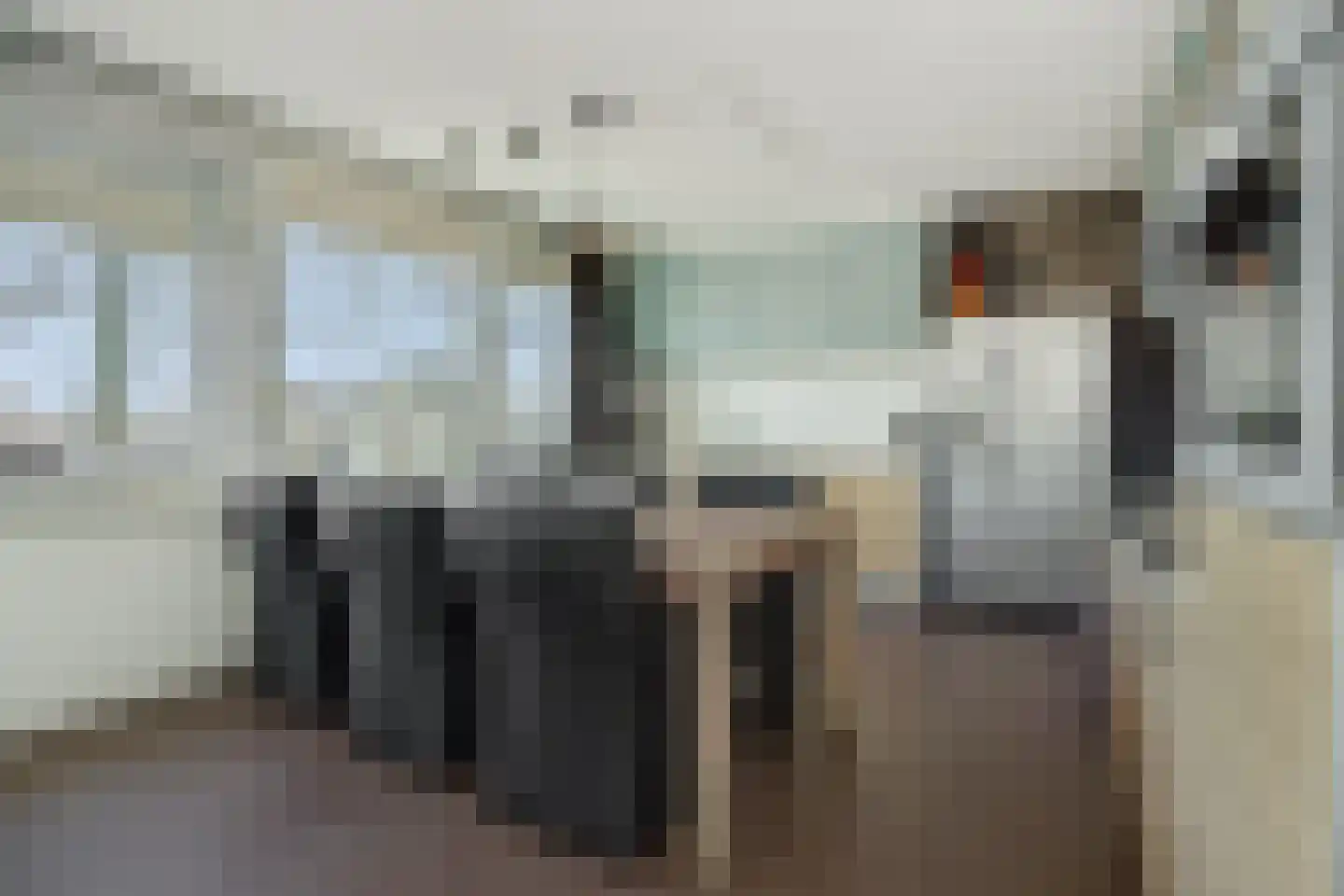 De Groote Rede 78 Rosmalen thumbnail 23
