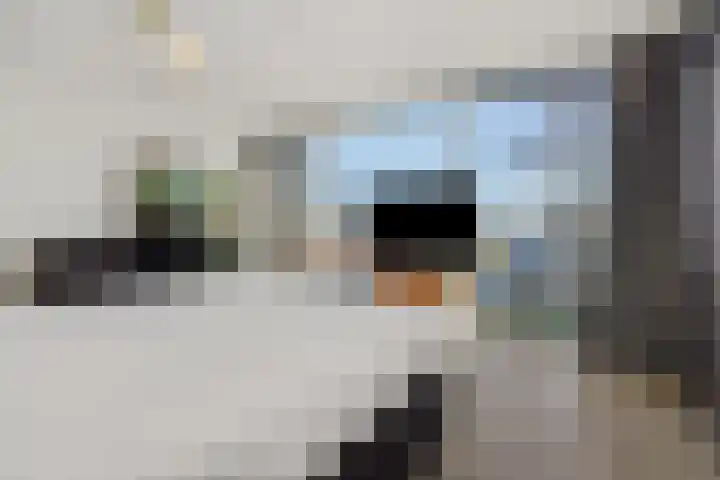 De Groote Rede 78 Rosmalen thumbnail 24