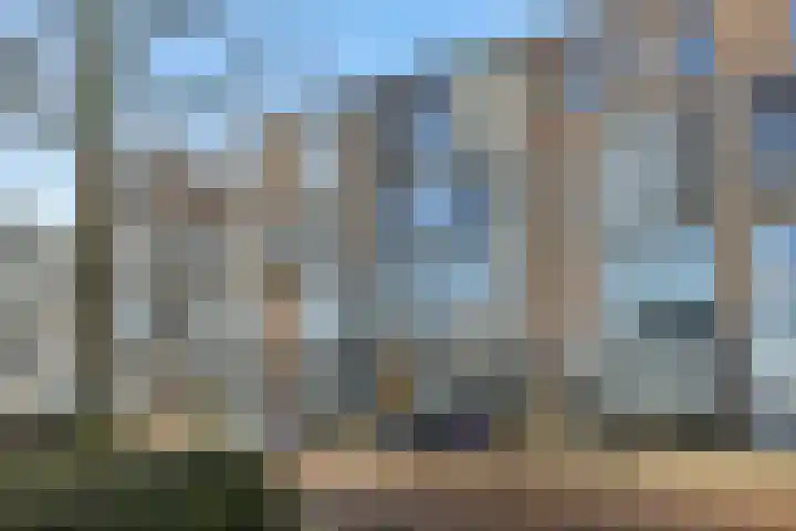 De Groote Rede 78 Rosmalen thumbnail 36