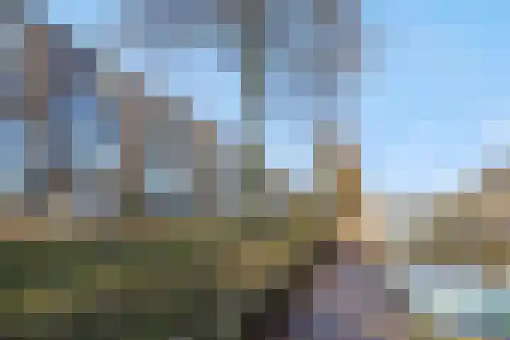 De Groote Rede 78 Rosmalen thumbnail 39