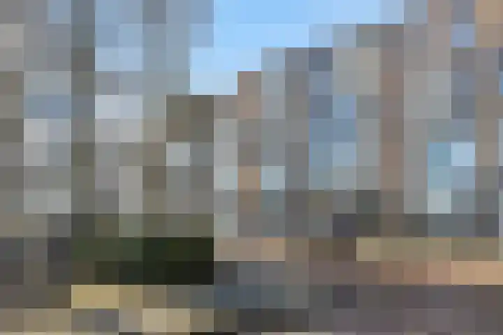 De Groote Rede 78 Rosmalen thumbnail 4