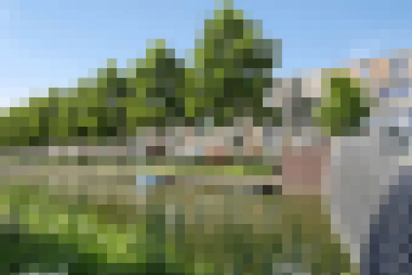 De Groote Rede 78 Rosmalen thumbnail 41