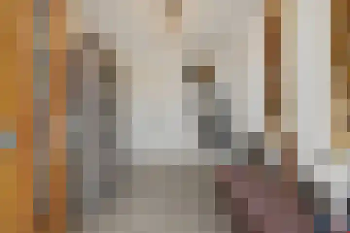 De Groote Rede 78 Rosmalen thumbnail 6