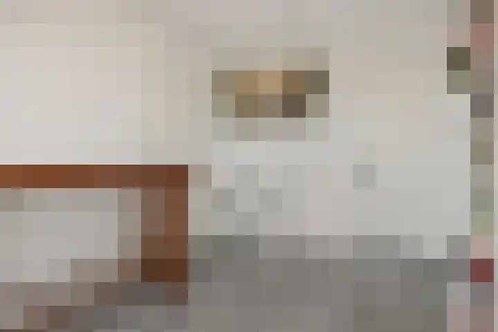 De Groote Rede 78 Rosmalen thumbnail 8