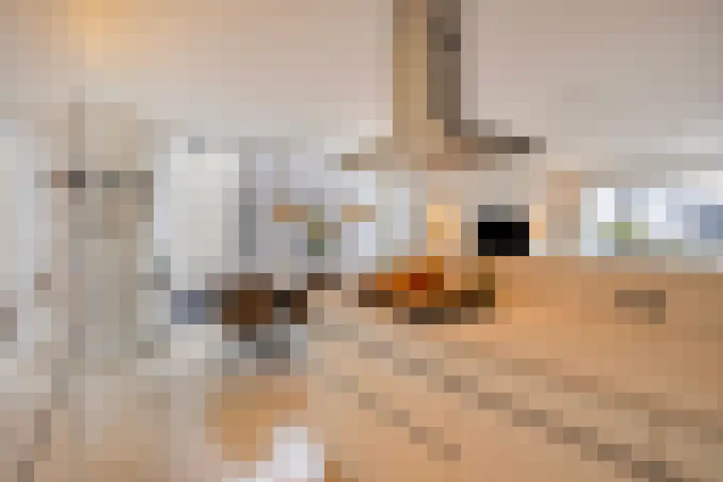 De Groote Rede 92 Rosmalen thumbnail 12