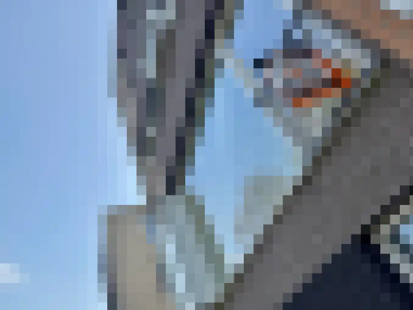 De Groote Rede 92 Rosmalen thumbnail 34