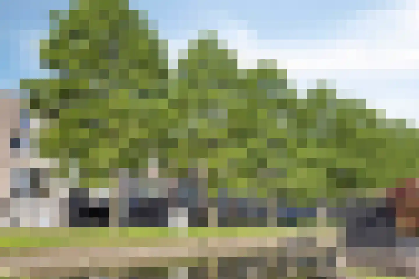 De Groote Rede 92 Rosmalen thumbnail 42