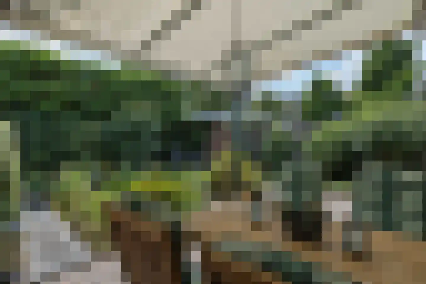 de Groote Scheerelaan 27 Helmond thumbnail 39