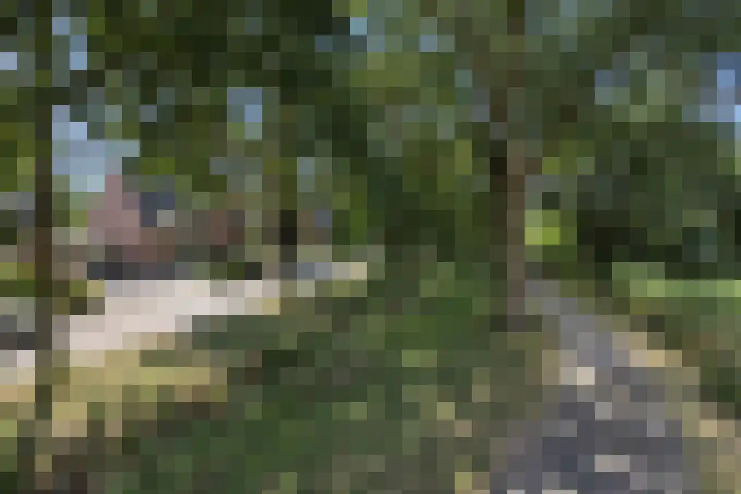 de Groote Scheerelaan 27 Helmond thumbnail 4