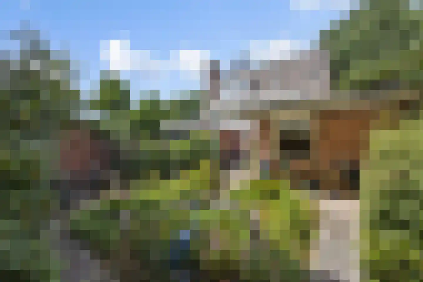 de Groote Scheerelaan 27 Helmond thumbnail 40