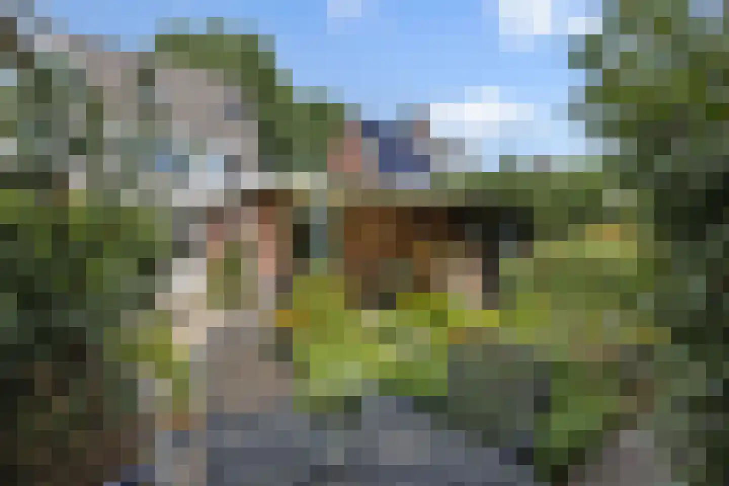 de Groote Scheerelaan 27 Helmond thumbnail 41