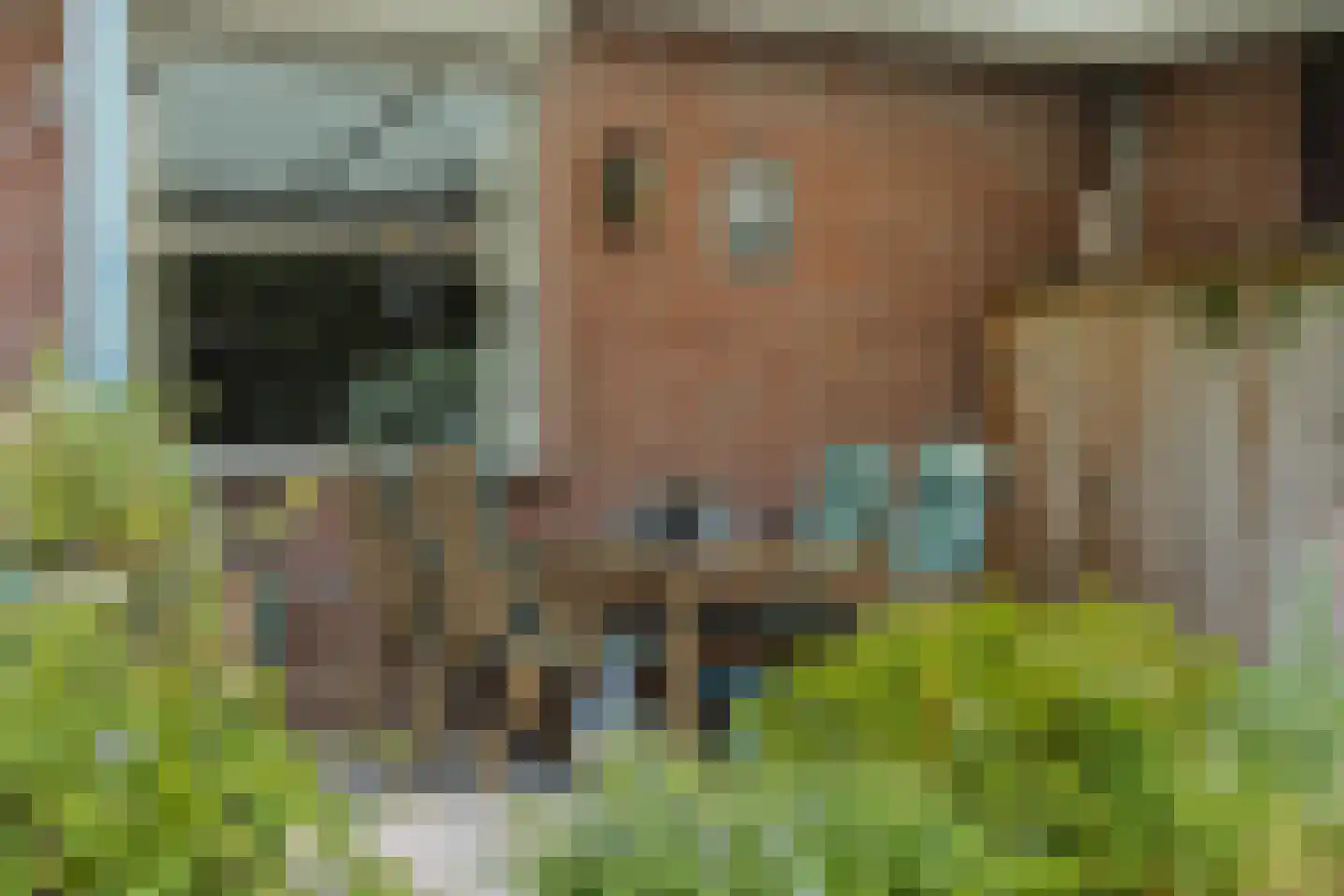 de Groote Scheerelaan 27 Helmond thumbnail 42