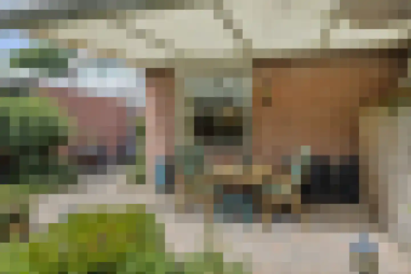 de Groote Scheerelaan 27 Helmond thumbnail 44