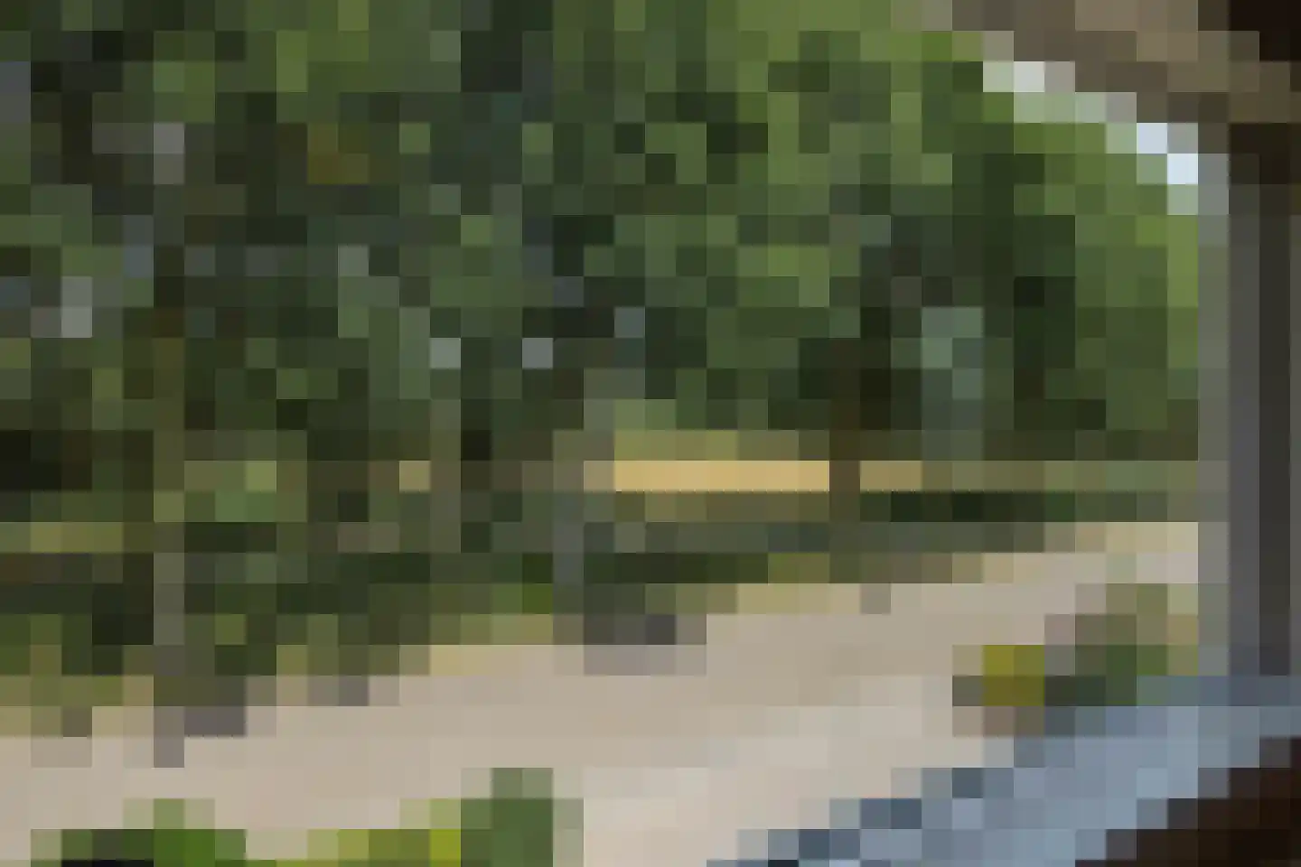 de Groote Scheerelaan 27 Helmond thumbnail 47