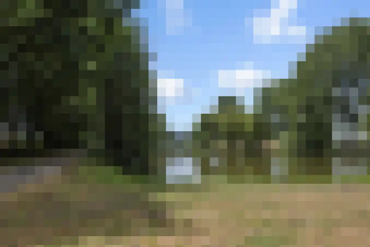 de Groote Scheerelaan 27 Helmond thumbnail 48