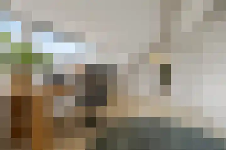 De Grote Haar 16 Muiderberg thumbnail 22