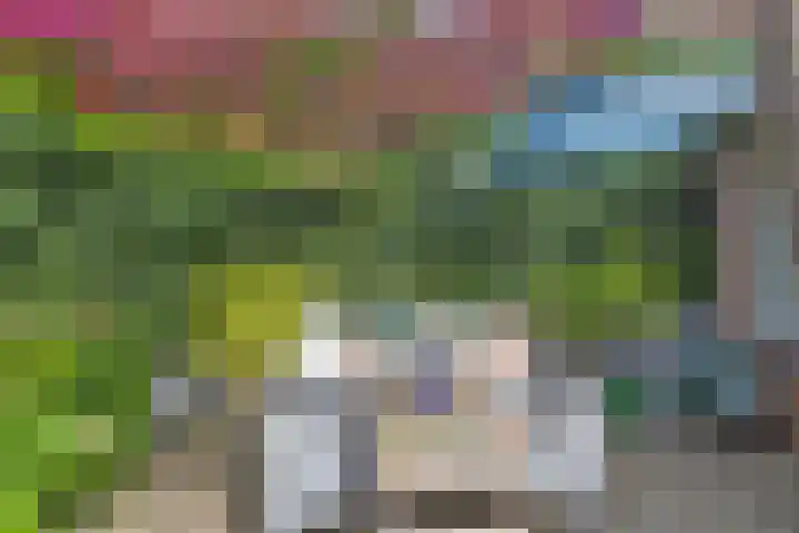 De Grote Haar 16 Muiderberg thumbnail 25