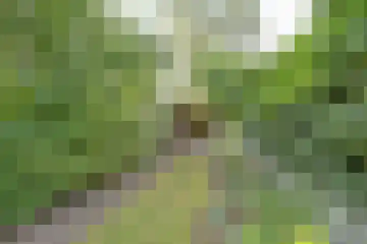 De Grote Haar 16 Muiderberg thumbnail 27