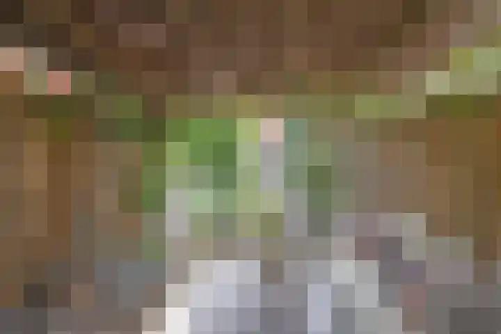 De Grote Haar 16 Muiderberg thumbnail 29