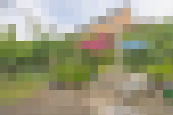 De Grote Haar 16 Muiderberg thumbnail 30
