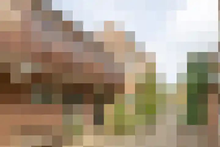 De Grote Haar 16 Muiderberg thumbnail 31