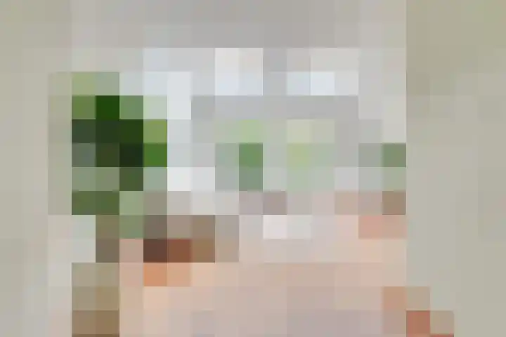 De Grote Haar 27 Muiderberg thumbnail 10