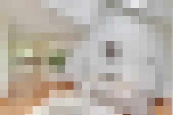 De Grote Haar 27 Muiderberg thumbnail 12