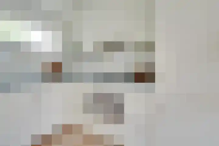 De Grote Haar 27 Muiderberg thumbnail 14