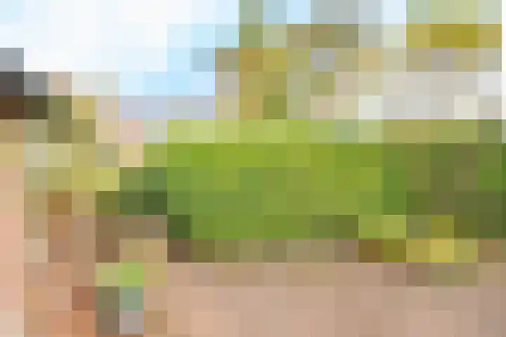 De Grote Haar 27 Muiderberg thumbnail 20