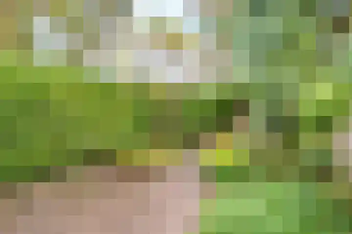 De Grote Haar 27 Muiderberg thumbnail 21