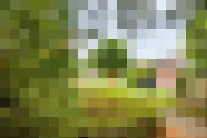De Grote Haar 27 Muiderberg thumbnail 22