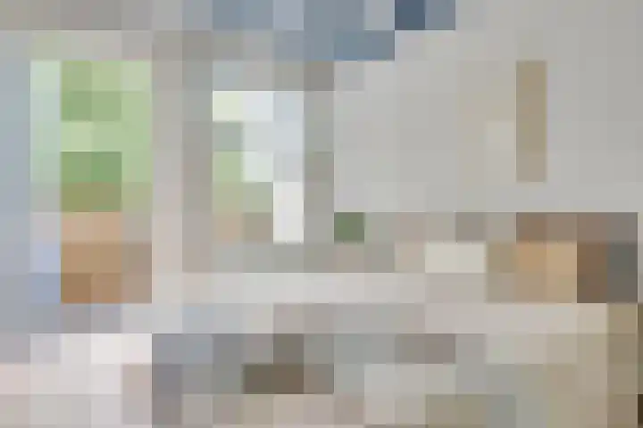 De Grote Haar 27 Muiderberg thumbnail 26