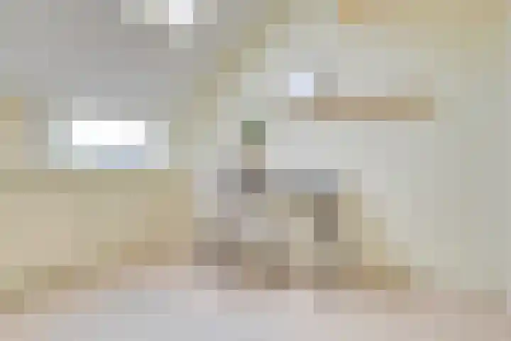De Grote Haar 27 Muiderberg thumbnail 34
