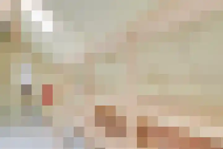 De Grote Haar 27 Muiderberg thumbnail 37