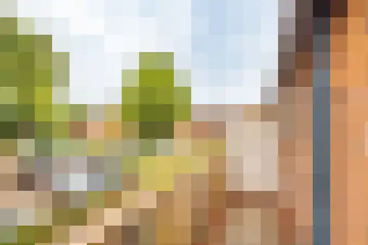 De Grote Haar 27 Muiderberg thumbnail 40