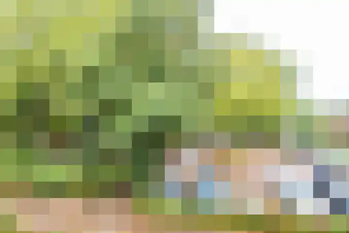 De Grote Haar 27 Muiderberg thumbnail 43
