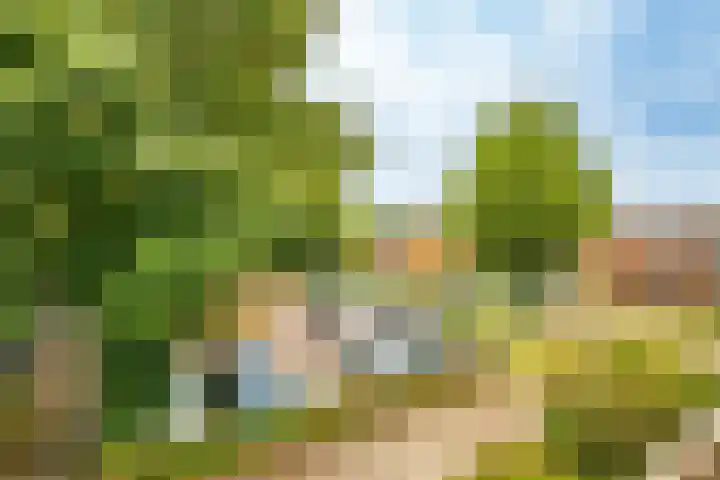 De Grote Haar 27 Muiderberg thumbnail 44