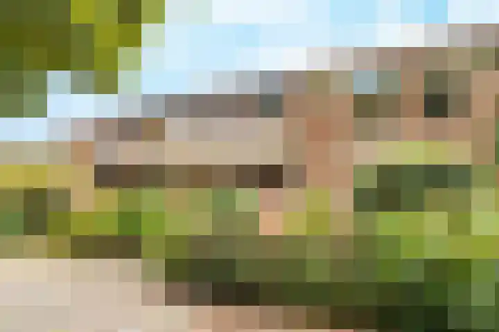 De Grote Haar 27 Muiderberg thumbnail 45