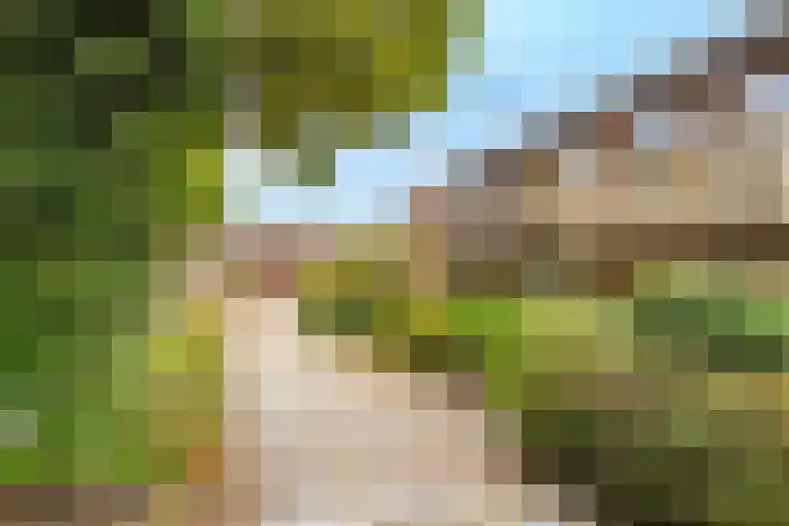 De Grote Haar 27 Muiderberg thumbnail 46