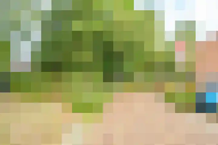 De Grote Haar 27 Muiderberg thumbnail 47