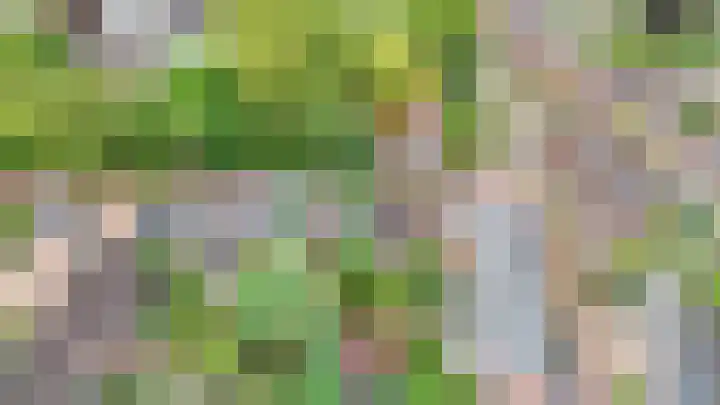 De Grote Haar 27 Muiderberg thumbnail 48