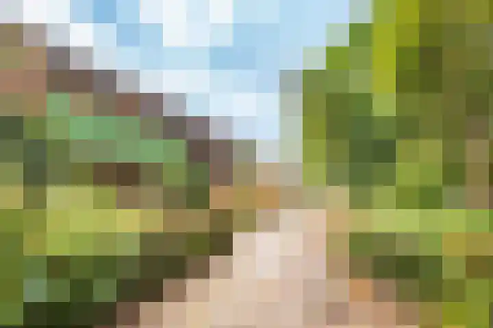 De Grote Haar 27 Muiderberg thumbnail 5