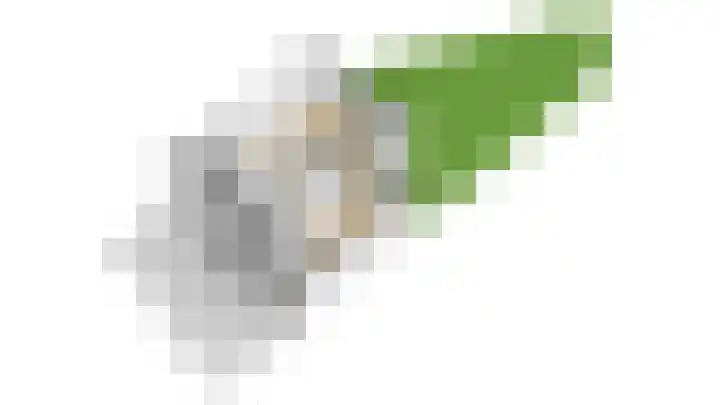 De Grote Haar 27 Muiderberg thumbnail 57