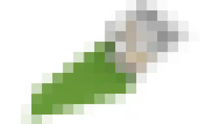 De Grote Haar 27 Muiderberg thumbnail 58